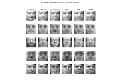 Face completion with a multi-output estimators